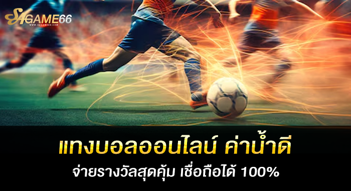 แทงบอลออนไลน์ ค่าน้ำดี จ่ายรางวัลสุดคุ้ม เชื่อถือได้ 100%